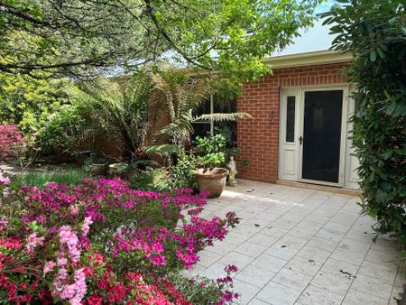 Large home with land and paddocks - Photo 4