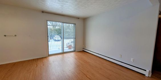 Immeuble - 540 13e Av Nord À Louer : 3 ½ 13e Avenue Nord - Photo 3