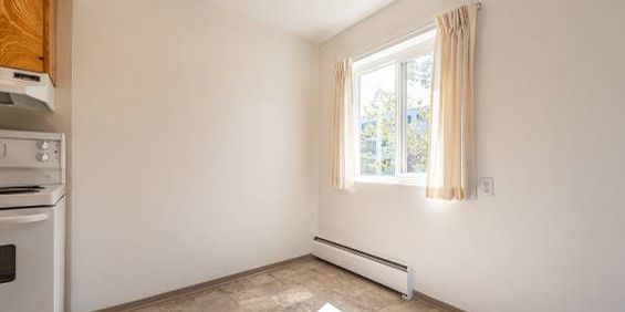 Firwood Apartments - 1 Bedroom - Available Now - Photo 3