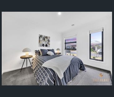 Stylish 4 Bedroom Family Home Offering Comfort and Convenience. - Photo 5