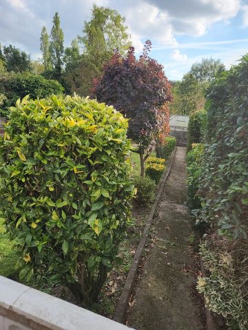 3 Bed Detached House, Cavendish Avenue, HA1 - Photo 3
