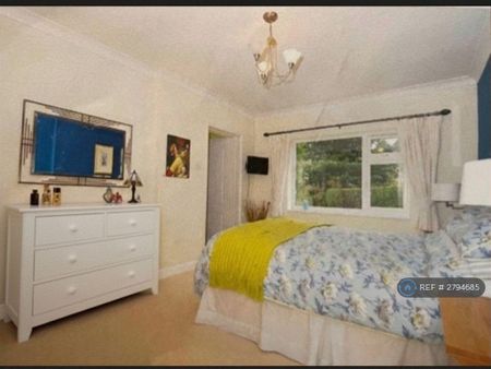 3 bedroom bungalow to rent - Photo 4