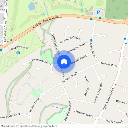 8 Glenegles Drive, Qld 4565, Tewantin