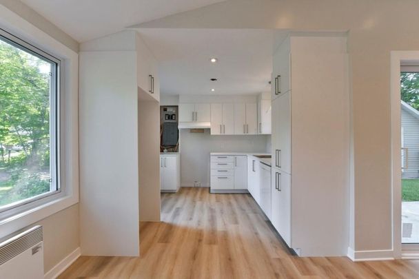 230 Rue du Lac-à-l'Anguille, J8A 1R2, J8A 1R2, Saint - Photo 1