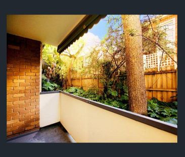 11/757 Burwood Road, Hawthorn East - Photo 5