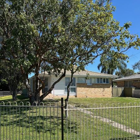 313 Auburn Street, Moree, NSW 2400 - Photo 3