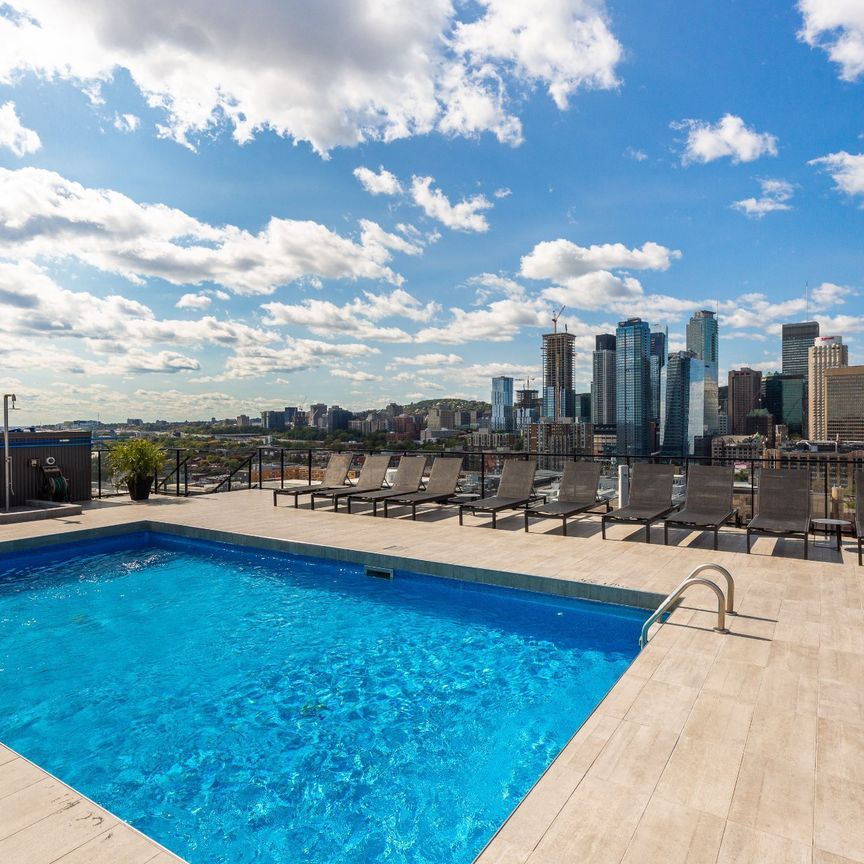 Condo for rent, Montréal (Le Sud-Ouest) - Photo 1