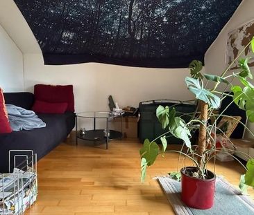 2 Zimmer, 53 m², 3. Stock - Foto 3
