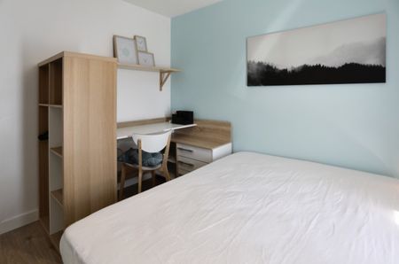 BONNAT AF Roommate 3 Bedrooms at Toulouse - Photo 5