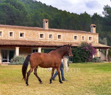 6 bedroom luxury Villa for rent in Esporles, Balearic Islands - Photo 4