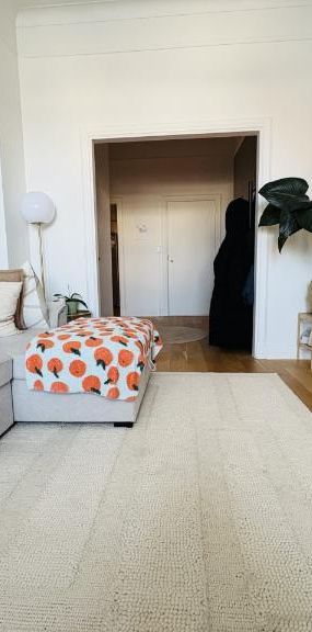 Appartement 4 ½ à louer Montcalm / Saint-Sacrement juillet 2026 - Photo 1