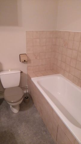 Location Appartement 1 pièce 30m² NANCY 54000 - Photo 4