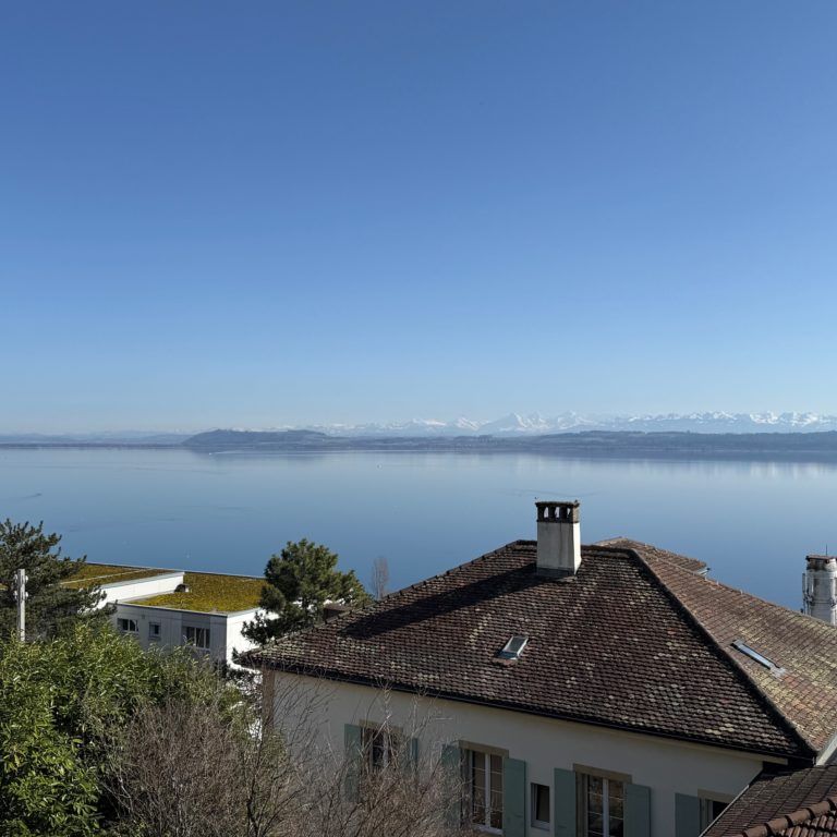 Appartement entièrement rénové avec vue imprenable sur le lac et les Alpes - Photo 1