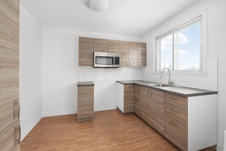 927 Rue Dubuisson, #5 - Photo 4