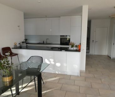 6600, Locarno - Photo 5