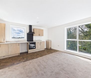 Evergreen View Apartments, Albany Street, Ilkeston, Derbyshire, DE7 - Photo 4