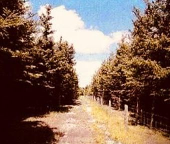 For Lease - 383206 20th Side Road, Amaranth, Ontario - Photo 3