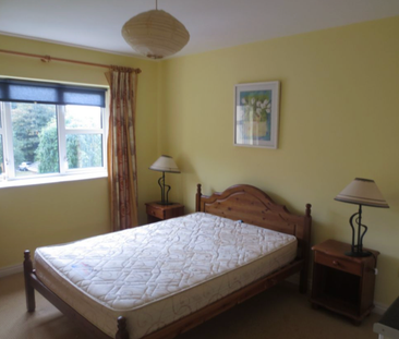 Tivoli Woods - Available for 5 Months, Cork City Centre - Photo 3