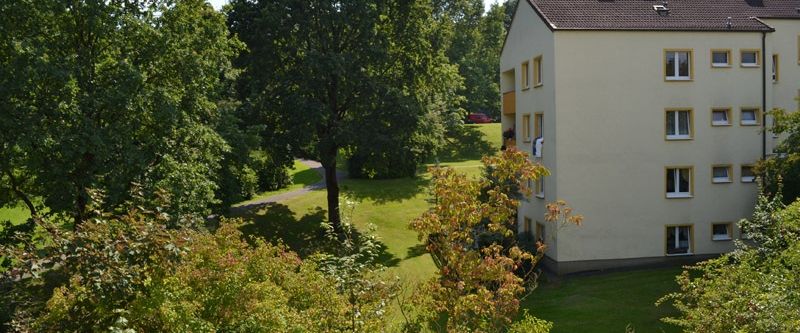 Demnächst frei! 2-Zimmer-Wohnung in Detmold Hiddeser Berg - Photo 1