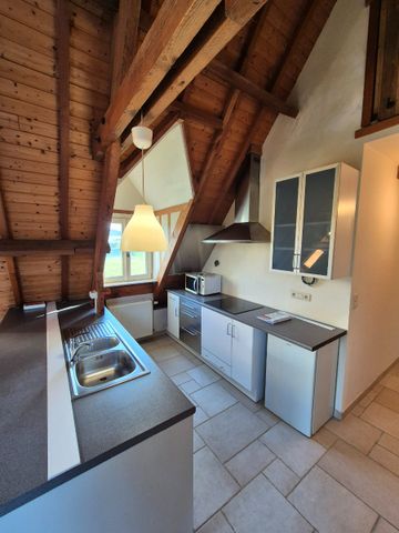 Te huur: appartement in groen Heuvelland - Foto 4