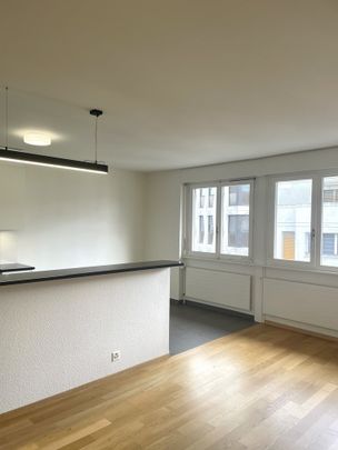 Plaine de Plainpalais - Université - Photo 1