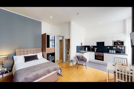 Studio Flat, Dale Sreet, L2 - Photo 5