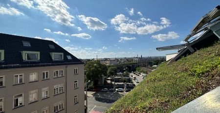 gz-i.de: Erstbezug in Maisonette-Dachgeschoss mit Dachterrasse im Hechtviertel! - Foto 4