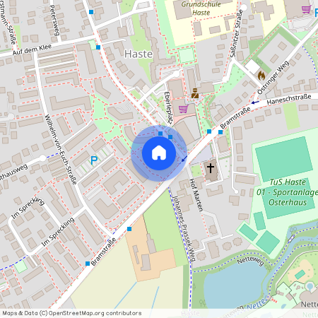 Hardinghausstr. 3b, 49090, Osnabrück Ot Haste