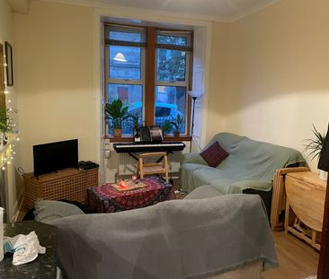 1 Bed Flat, Caledonian Crescent, EH11 - Photo 3
