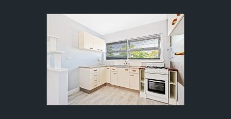 Charming 1-Bedroom Unit - Photo 3
