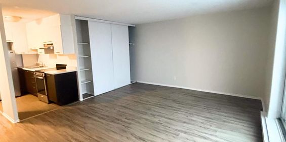 1 CH - 1 SDB - Gatineau - $1,245 /mo - Photo 3