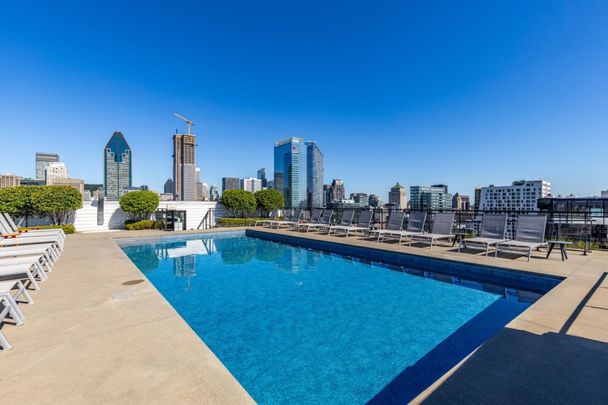 Appartement à louer - Montréal (Le Sud-Ouest) (Griffintown) - Photo 1