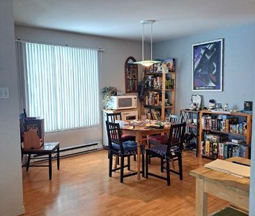 4 1/2 Lévis centre-ville, **Libre 1er Avril, UQAR, proximité autoroute - Photo 3