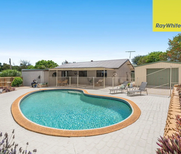 Modern Living with Pool & Huge Shed in Prime Wellington Point Location - Photo 3