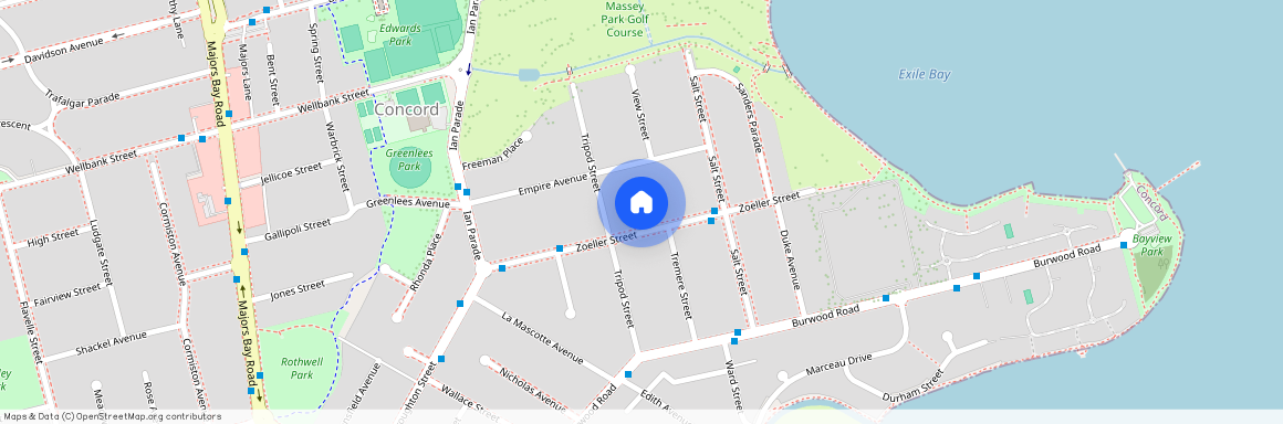 19 Zoeller St, Concord, NSW 2137