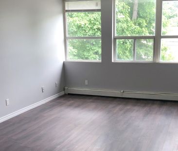 Canboro Garden - Photo 5