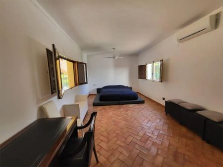Casa o chalet de alquiler en Calle Chopo, 21, Cap Martí - El Tossalet - Pinomar - Foto 3