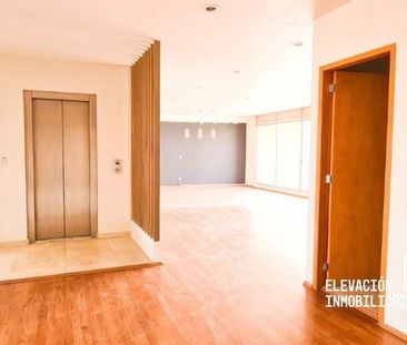 Departamento en Renta, Residencial El Ducal, Bosque Real, Huixquilucan - Photo 2