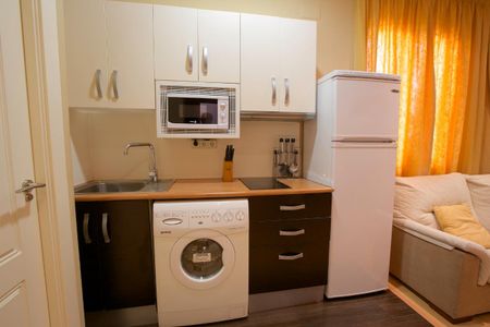 Studio - Granada (Constitucion) - Foto 4