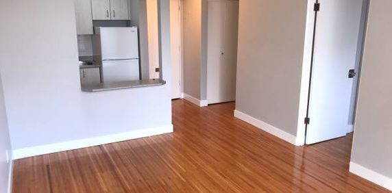 PET FRIENDLY! 1 bedroom suite in the West end - Photo 2