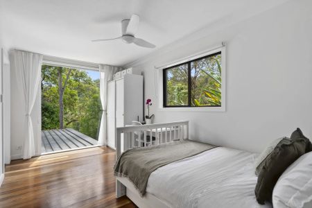 North-Facing Calm Among the Canopy - 4 Month Lease - Photo 4