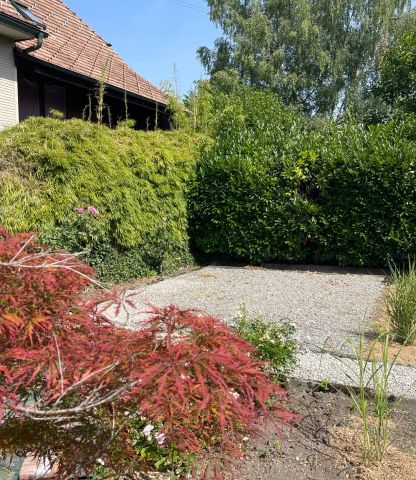 3 Zimmer, 80 m² - Foto 3