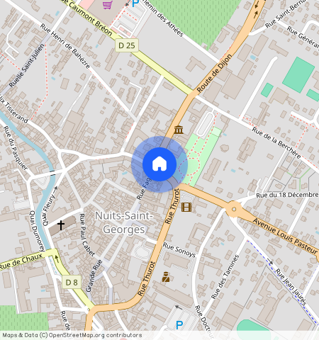 Nuits St Georges, Secteur Prox. Intermarche