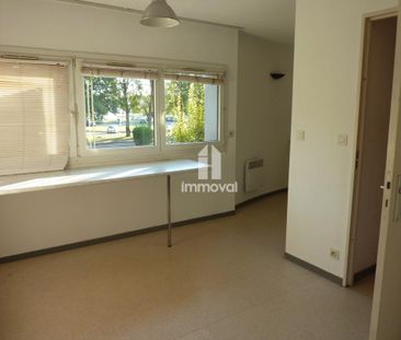 Location Appartement 1 pièce 19m² ILLKIRCH GRAFFENSTADEN 67400 - Photo 1