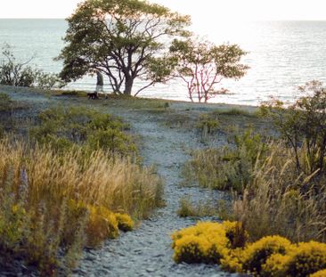 Högklint Högklintsvägen, Visby - Photo 4