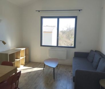 Location Appartement 2 pièces 29 m2 à Montpellier - Photo 1