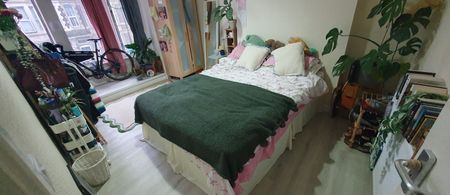 Flat 2, 13 Pen Y Lan Road, Roath, Cardiff, CF24 3PG - Photo 5