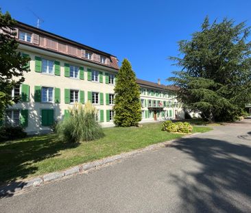 Geräumige 7.5-Zimmer-Wohnung im Dachgeschoss - Foto 4