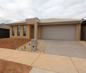 Spacious family home in Huntly - Photo 1
