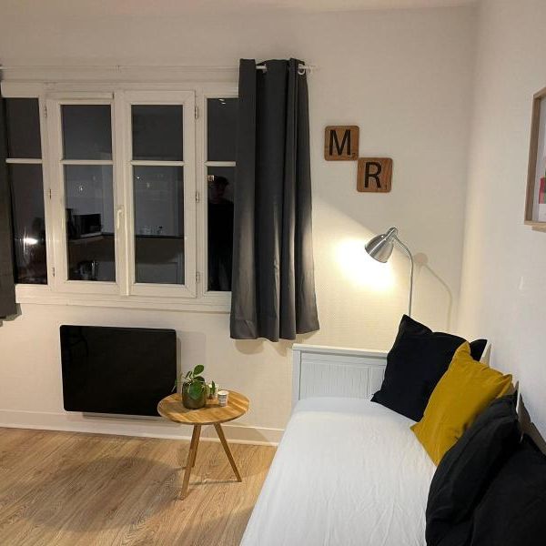 Location Appartement 1 pièce 19m² NANTES 44000 - Photo 2